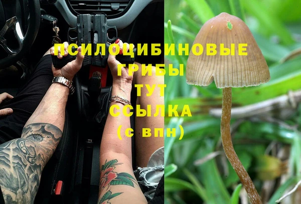 ALPHA PVP Беломорск