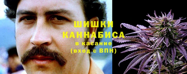 круглые Белокуриха