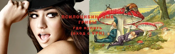 круглые Белокуриха