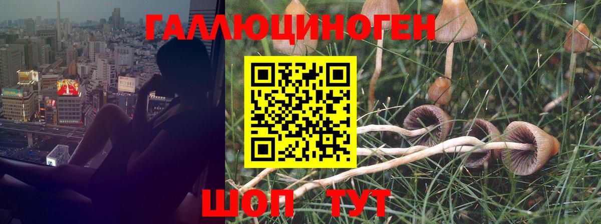 Псилоцибиновые грибы мухоморы Пыть-Ях